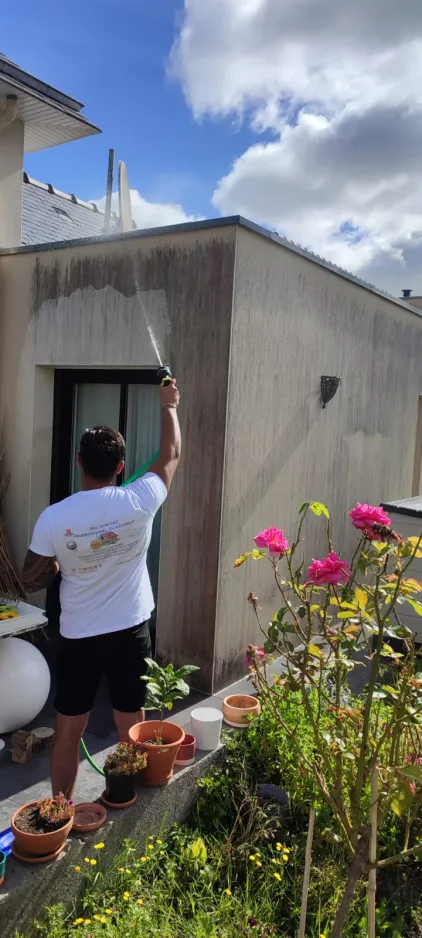 Exemple de démoussage et nettoyage de surface extérieure